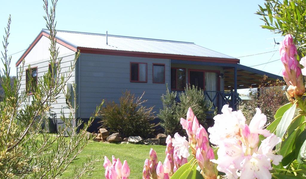 Highland Cabins And Cottages At Bronte Park Rum bild